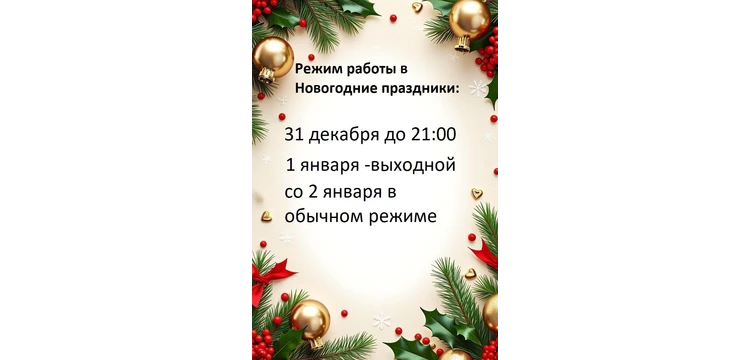 Новогодние праздники